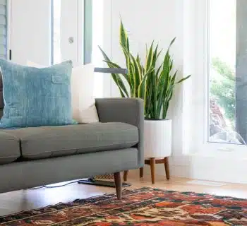 Des tapis pour chaque style : comment trouver le bon pour votre décoration intérieure